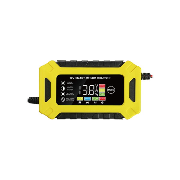 12V-24V series charger