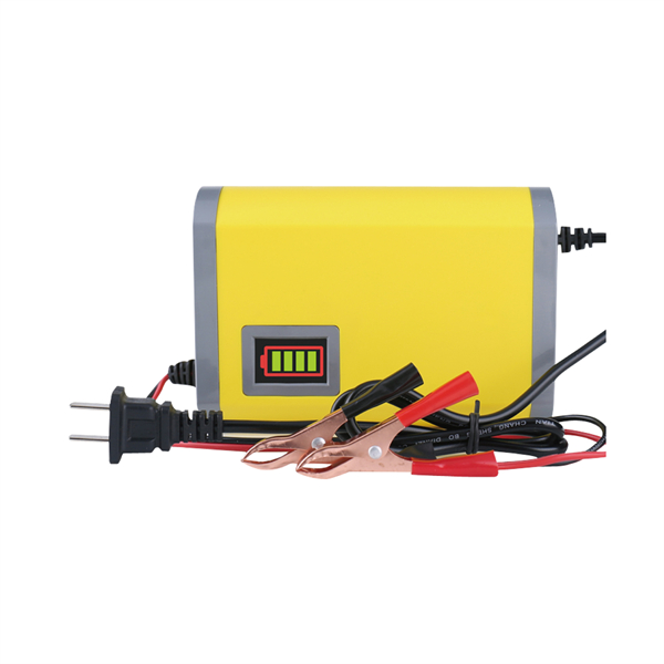 12V-24V series charger